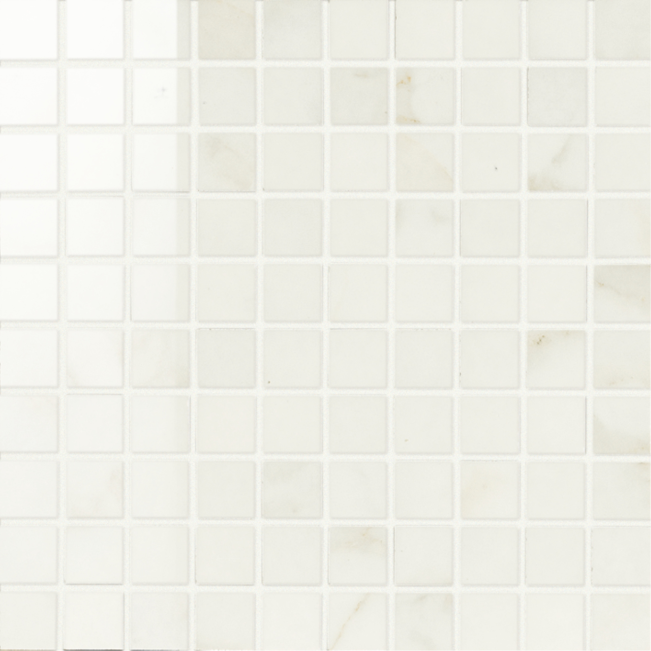 1 x 1 Muse Calacatta High Polished porcelain mosaic (SPECIAL ORDER ONLY)